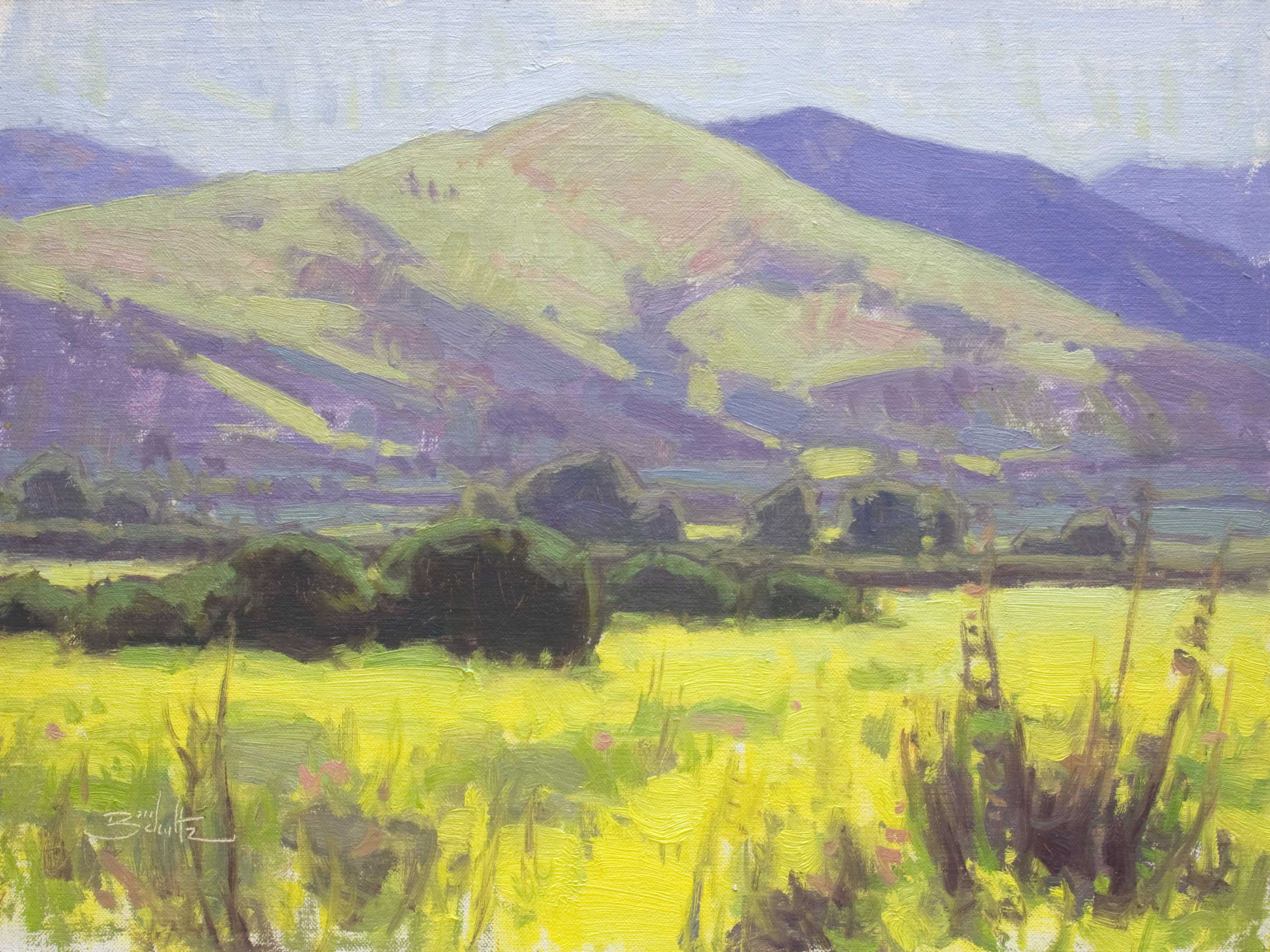 Is Cadmium Paint Toxic? Realism Today