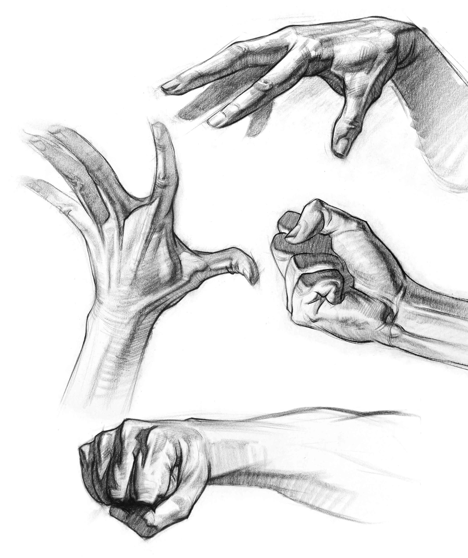 Drawing the Figure Heads, Hands, and Feet Realism Today