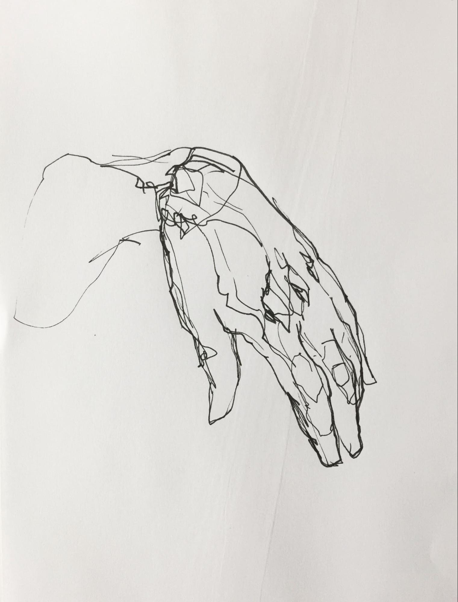 How to draw hands