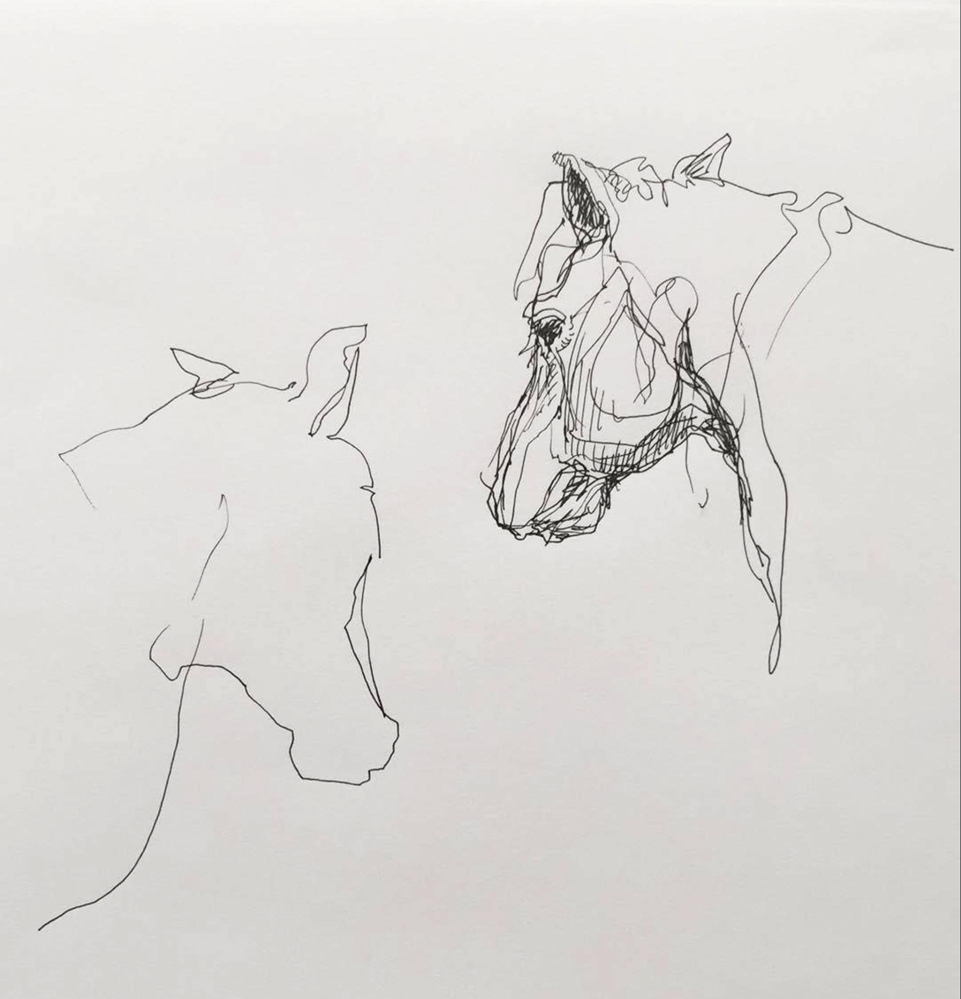 Sketches of horses 