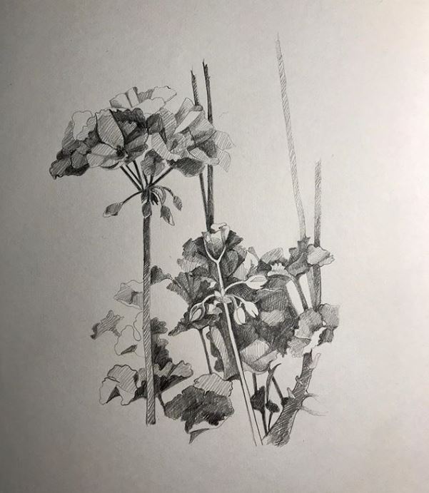 Drawings of flowers - RealismToday.com
