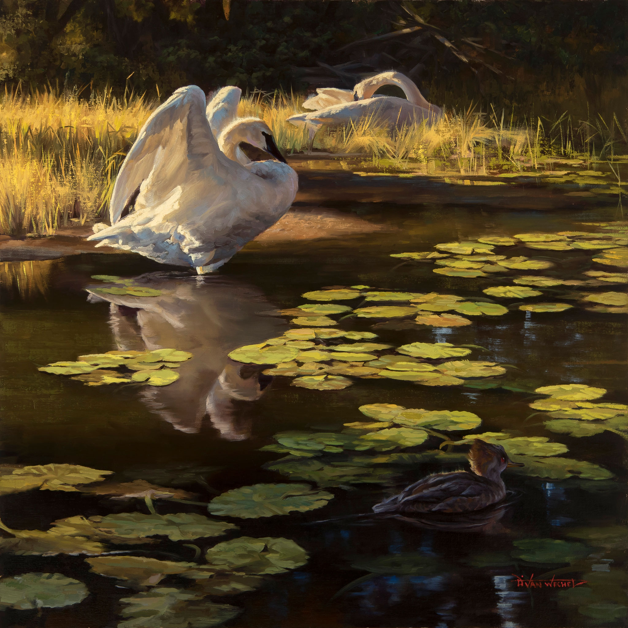 Contemporary Realism Wildlife Art - Dustin Van Wechel - RealismToday.com