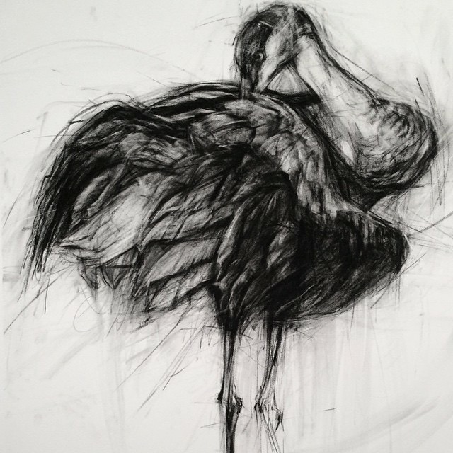 contemporary drawings - April Coppini D