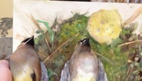 Memento mori still life paintings - birds in art