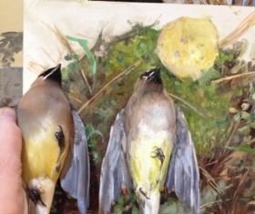 Memento mori still life paintings - birds in art