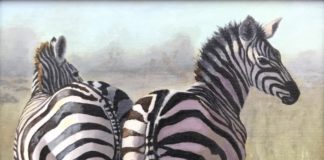 Painting of zebras - Plein Air Salon winner