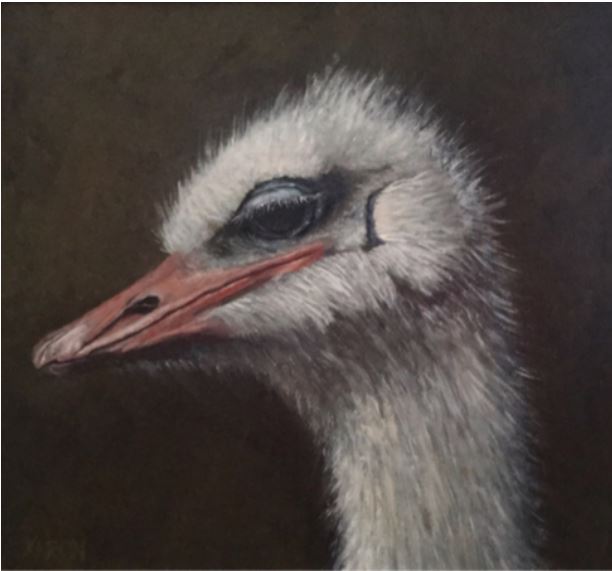 Oil painting of an ostrich