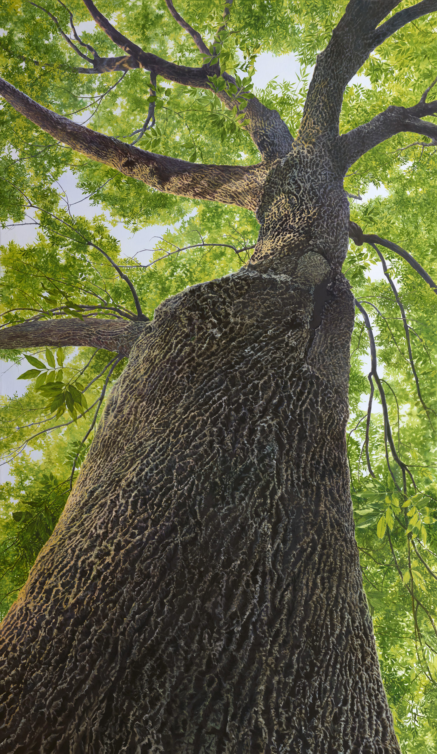 Painting of a green ash tree