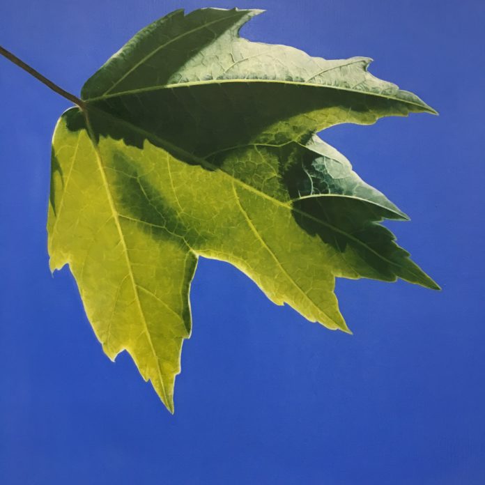 Painting of a leaf