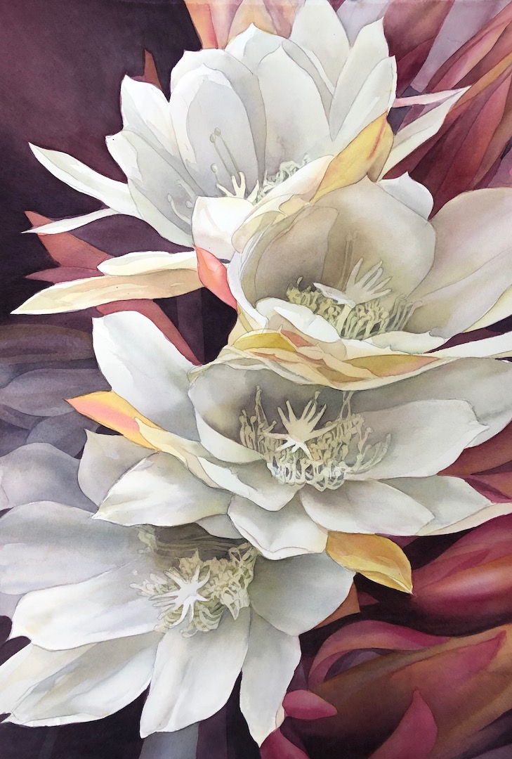 Birgit O'Connor, "Starflower," 2020, watercolor, 22 x 15 in.