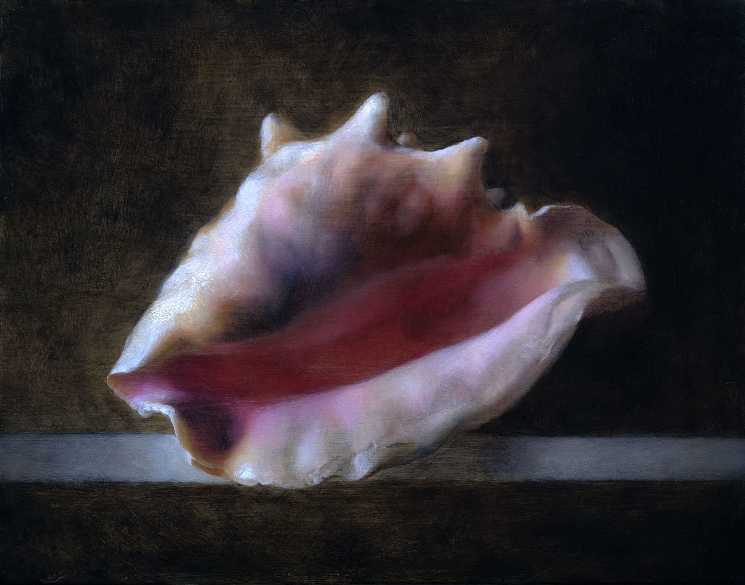 classical realism - Sadie Valeri, "Glaze Conch," 11 x 14 in.