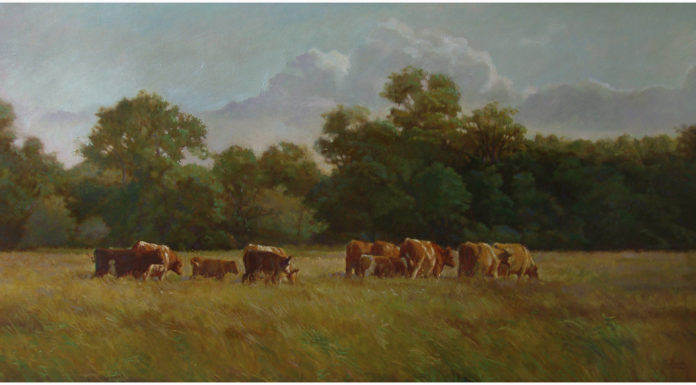 Dot Bunn, "Calves In The Field," 24 x 46 inches, Oil on linen panel