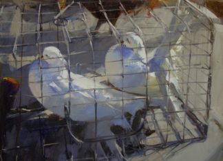 John Cook, "White Birds," 16 x 20 in.