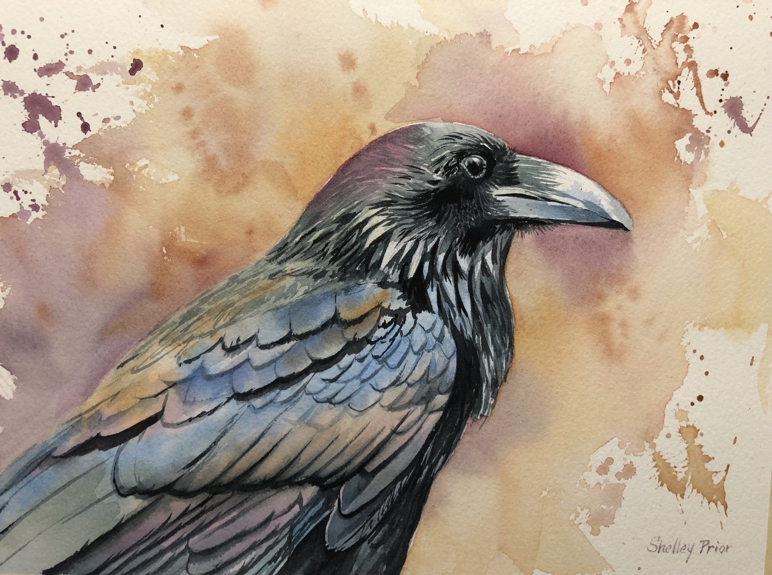 realistic paintings of crows - watercolor