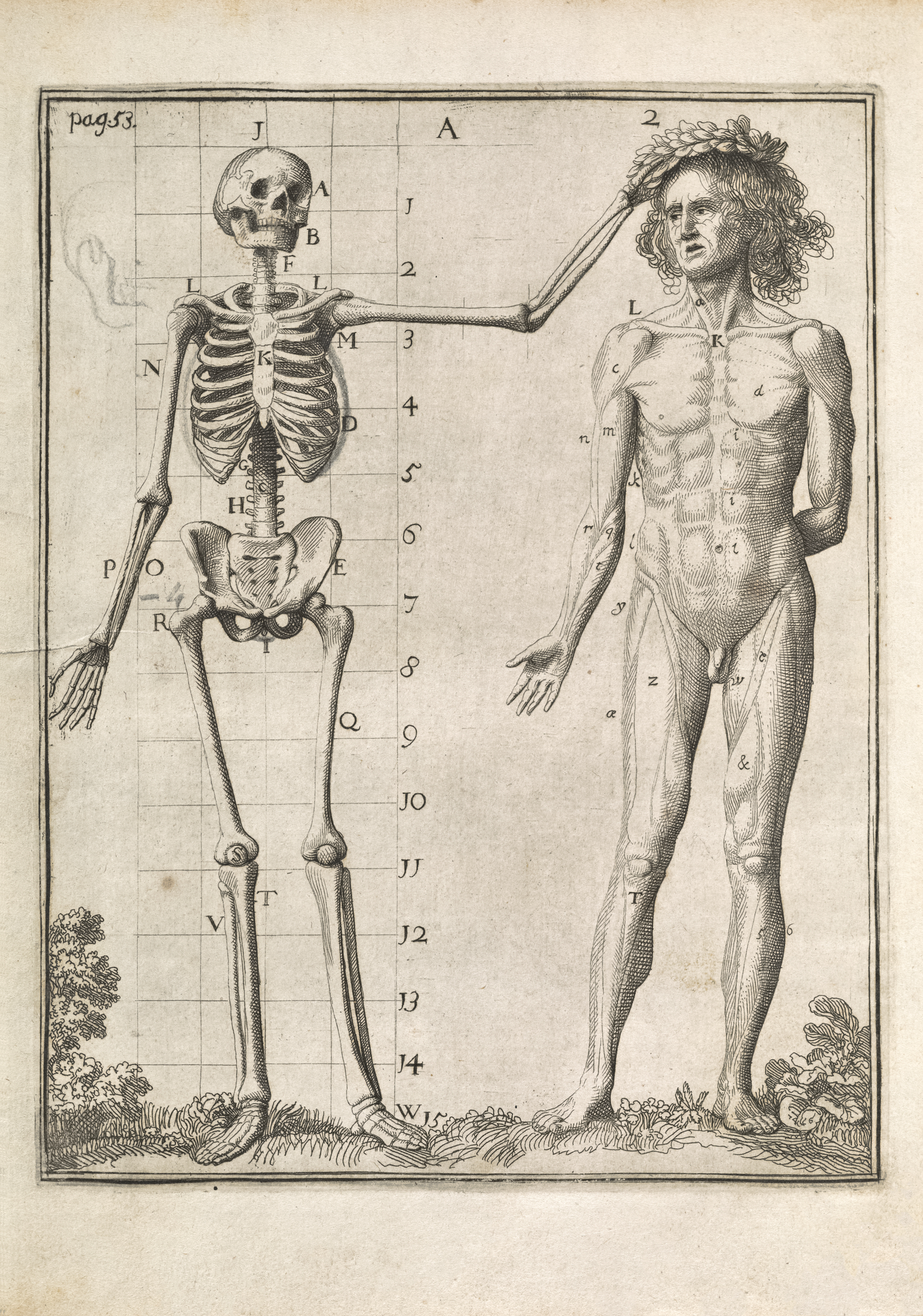 figurative art - drawings of skeletons