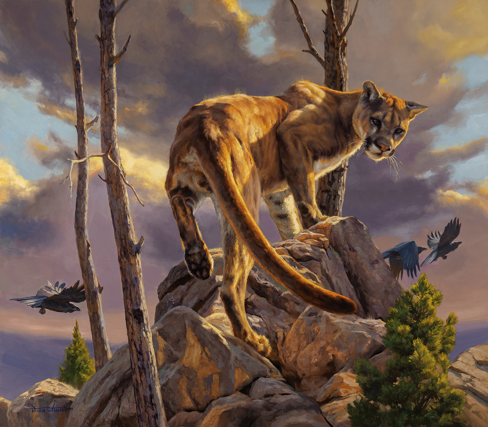 realist wildlife painting - Dustin Van Wechel, “The Catbird Seat," oil, 35 x 40 in.