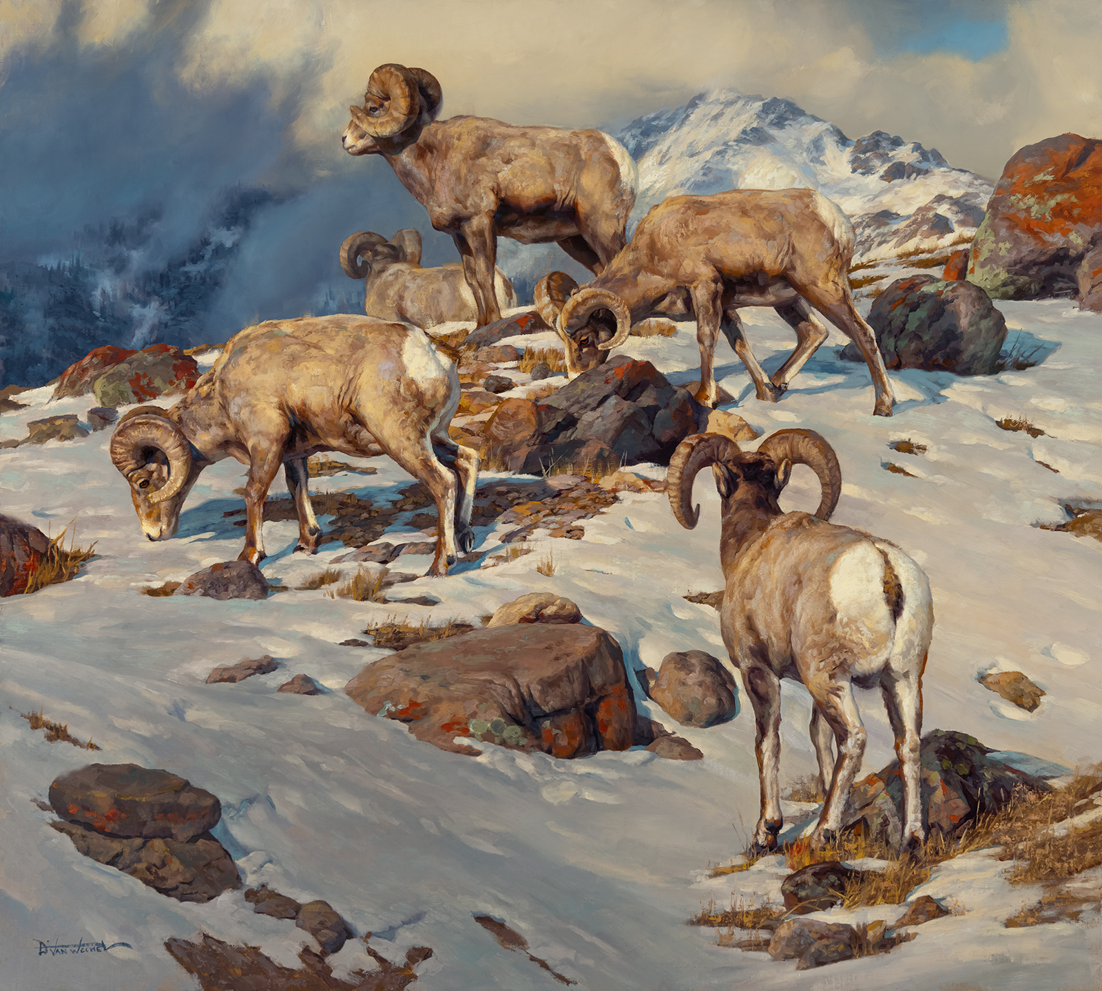 Wildlife painting - Dustin Van Wechel, “The Search Continues," oil, 36 x 40 in.