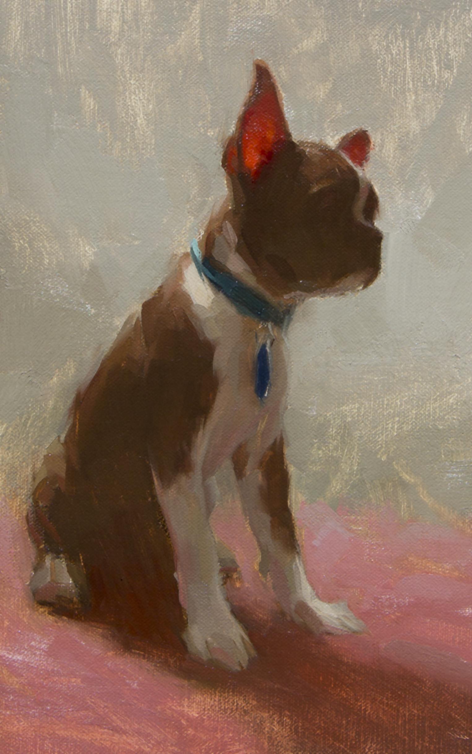 Contemporary realism - painting of a Boston terrier