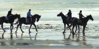 Paintings of horses - Matthew Hillier (b. 1958), "Turning Back," 2017, oil on board, 9 x 26 in., private collection