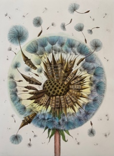 drawing of a dandelion