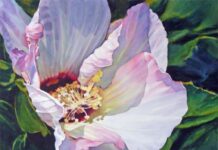 Painting petals - "Heavenly Hibiscus," watercolor by Ann Pember