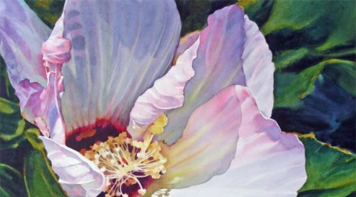 Painting petals - "Heavenly Hibiscus," watercolor by Ann Pember