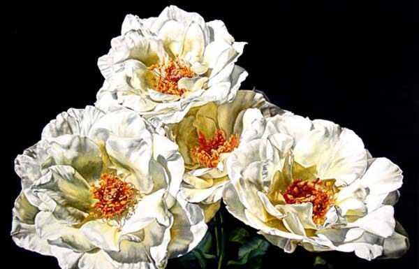 watercolor realism painting of flowers