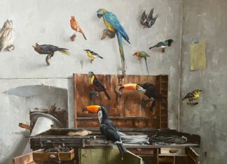 Contemporary realism painting of birds - narrative art