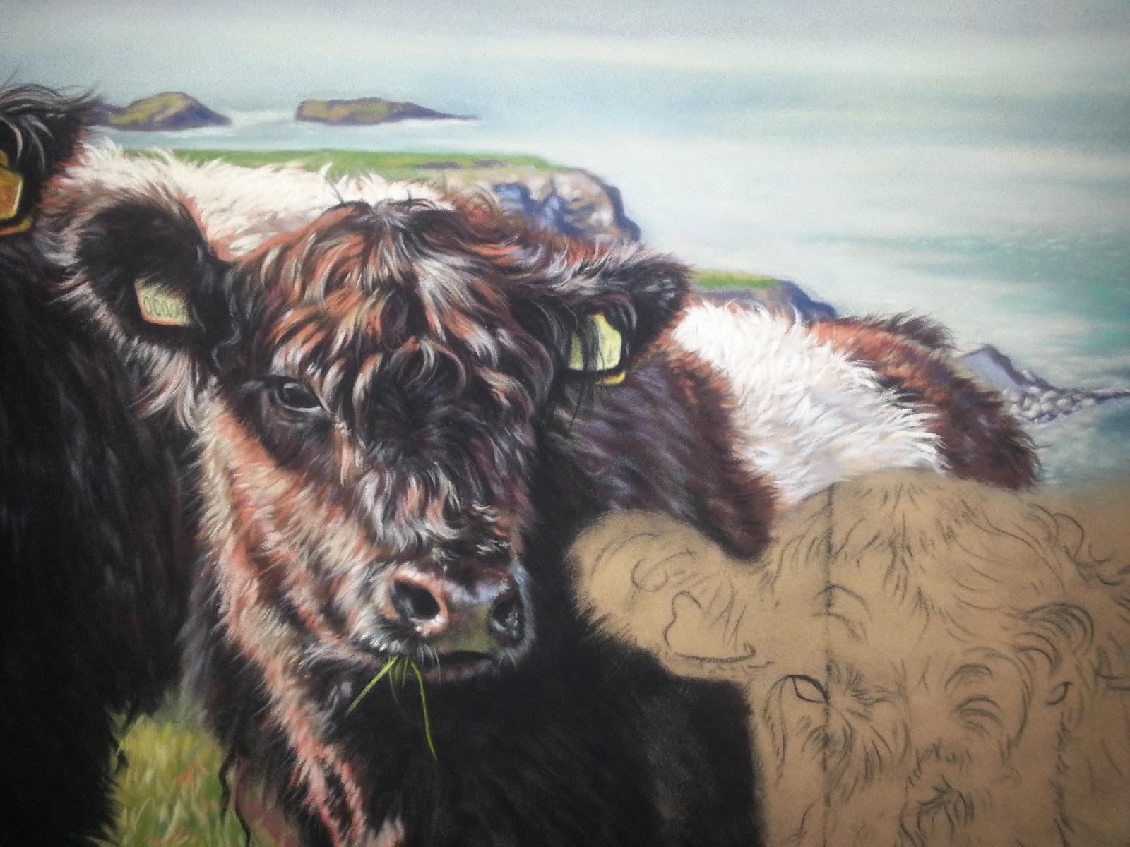 Painting animals with pastels - cow's face