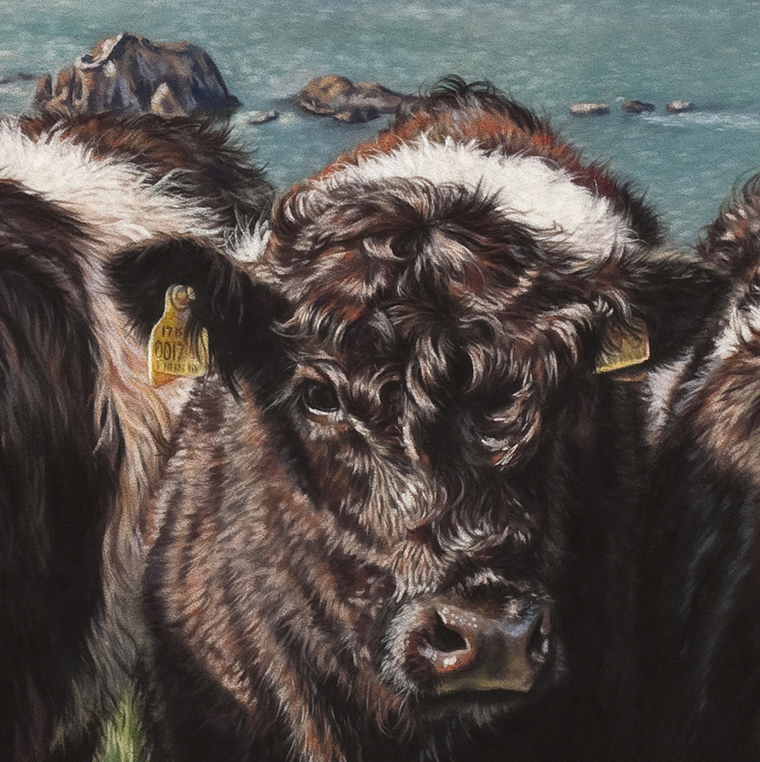 Painting animals with pastels - Detail of “The Belties”