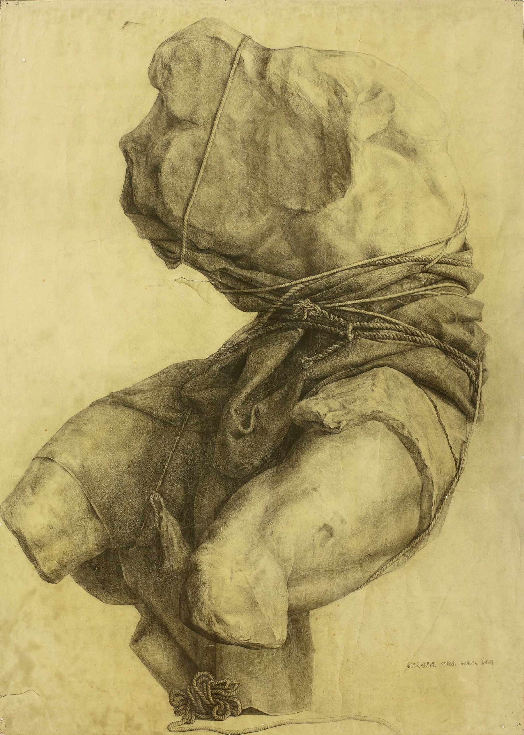 Academic drawings - Li Zhiyu (Lu Xun Art Academy), "Torso," 1996, pencil on paper, 42 1/8 x 29 1/2 in.