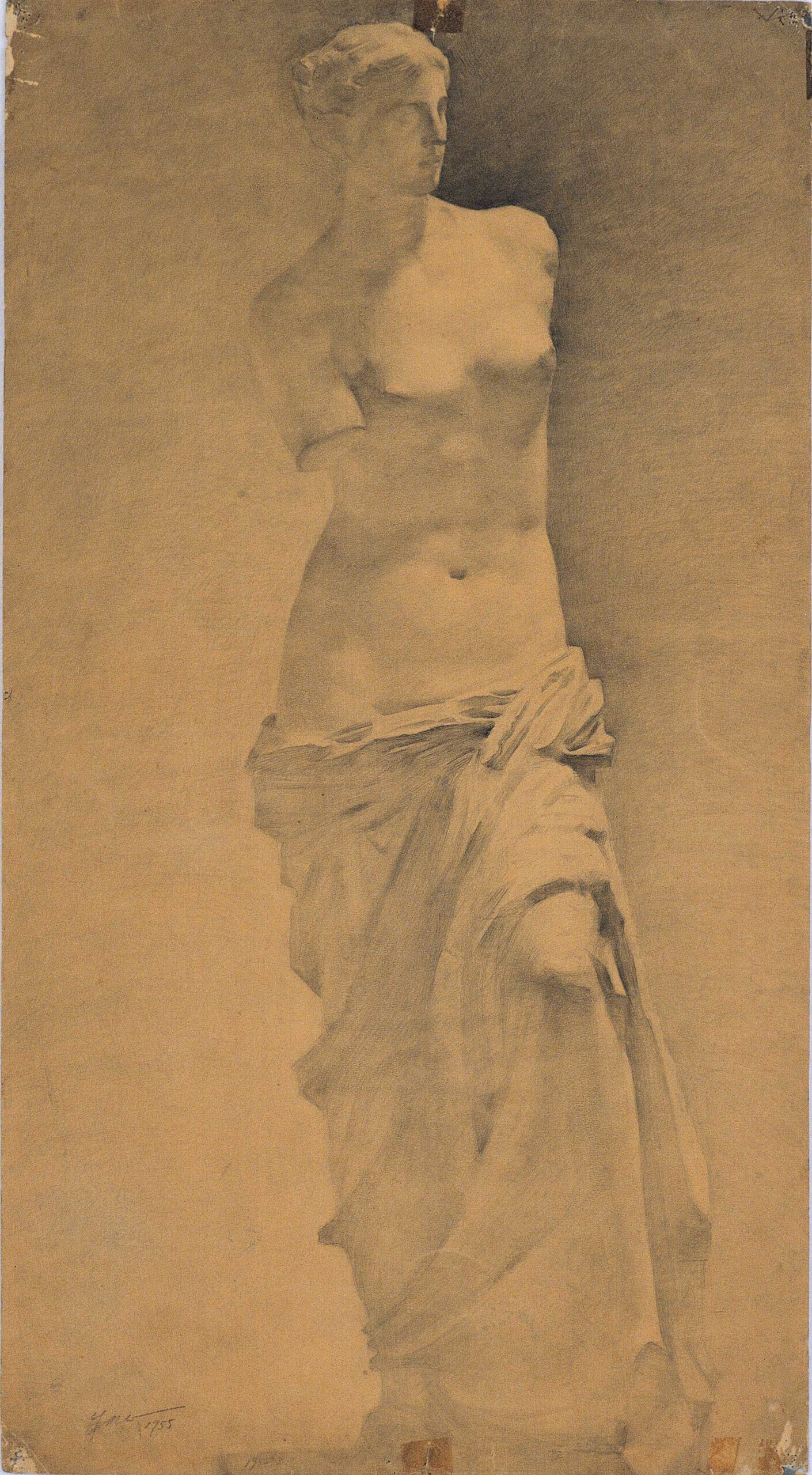 Plaster bust of Venus sketch