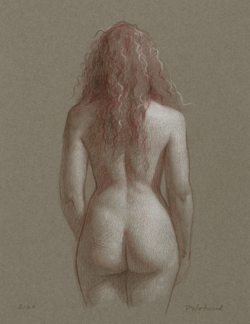 Patricia Watwood, "Holly's Back," Sanguine, Sepia, and White Pencil on Gray Paper, 12.5 x 10 in.
