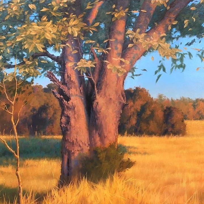 Gavin Glakas, “Sunrise in Manassas," oil, 36 x 72 in. Collection of Georgetown University Hospital