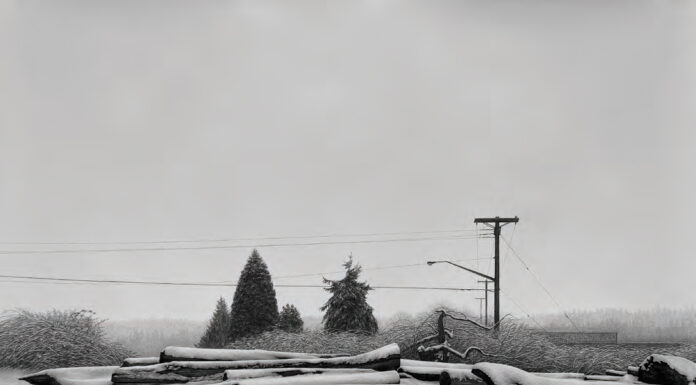 Contemporary realism - Stephanie Buer, Untitled (Snow), 2021, charcoal on paper, 42 x 56 in., private collection
