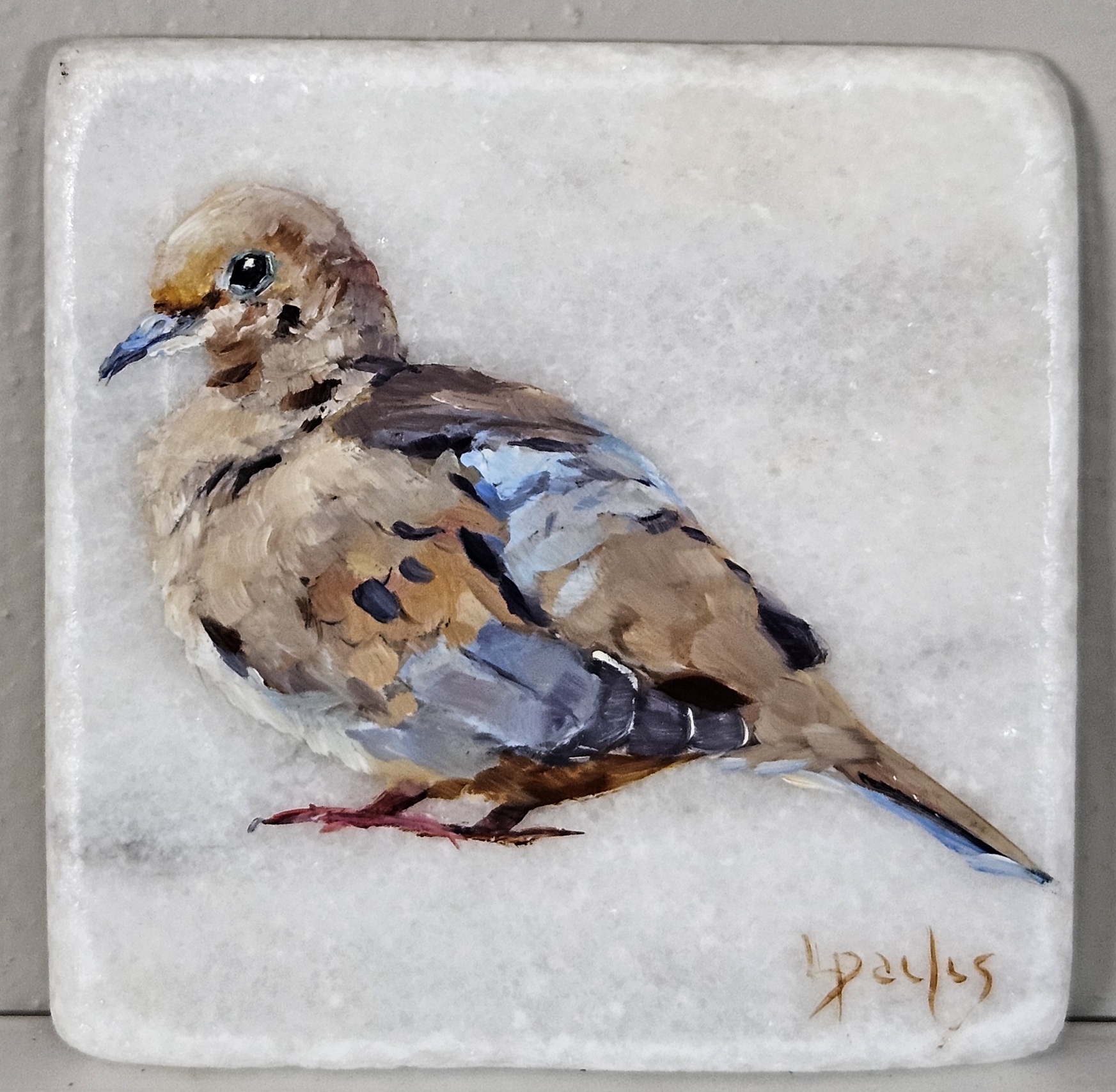 Painting of a mourning dove