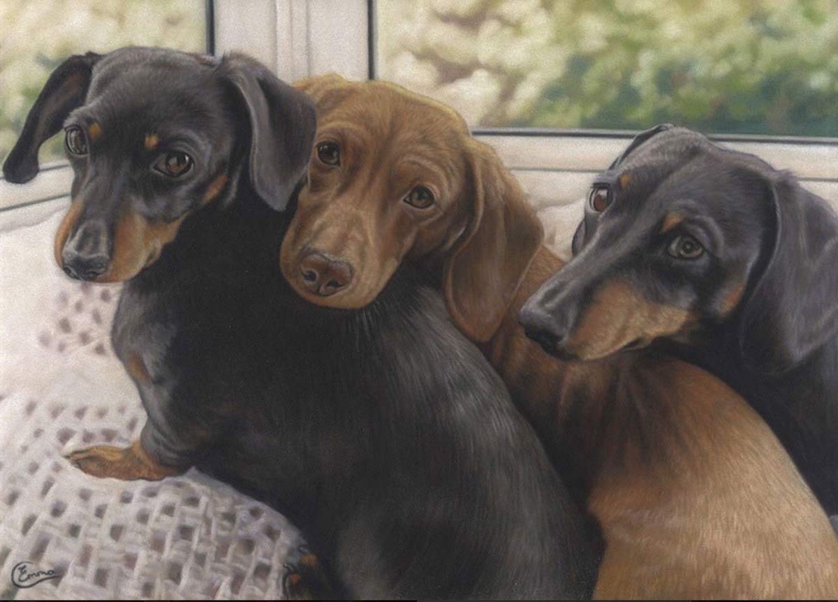 pastel painting of dogs - Emma Colbert, “Three Little Dachshunds,” Soft pastel, 18 x 14 in.