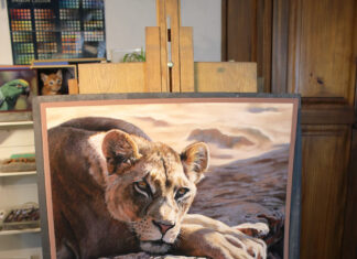 pastel painting wildlife - Emma Colbert, “Lioness,” Soft pastel on Pastelmat, 18 x 14 in.
