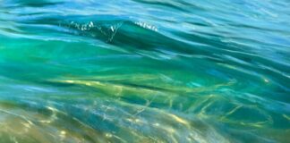 Art Competitions - Elena Degenhardt (Cannes, France), "The Essence of Summer," pastel, 9.5 x 12 in., Water Honorable Mention, January 2024 PleinAir Salon, judged by Lisa Skelly