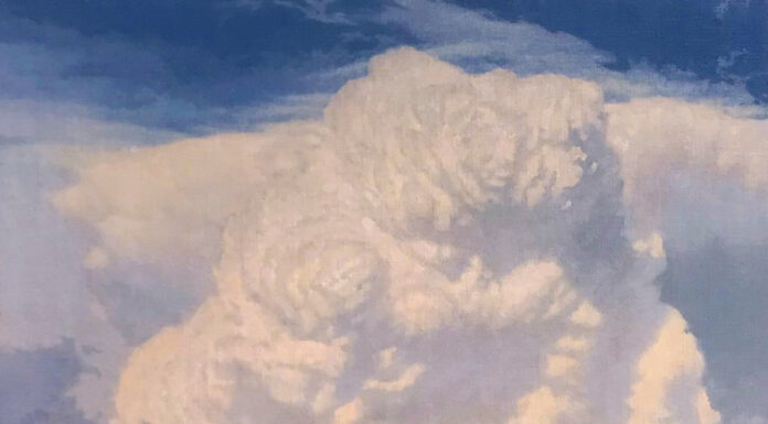 Contemporary realism art - Damien M. Gonzales, "Rose Thundercloud," 2023, oil on mounted linen, 8 x 10 in., available through the Taos Art Museum at Fechin House (New Mexico)