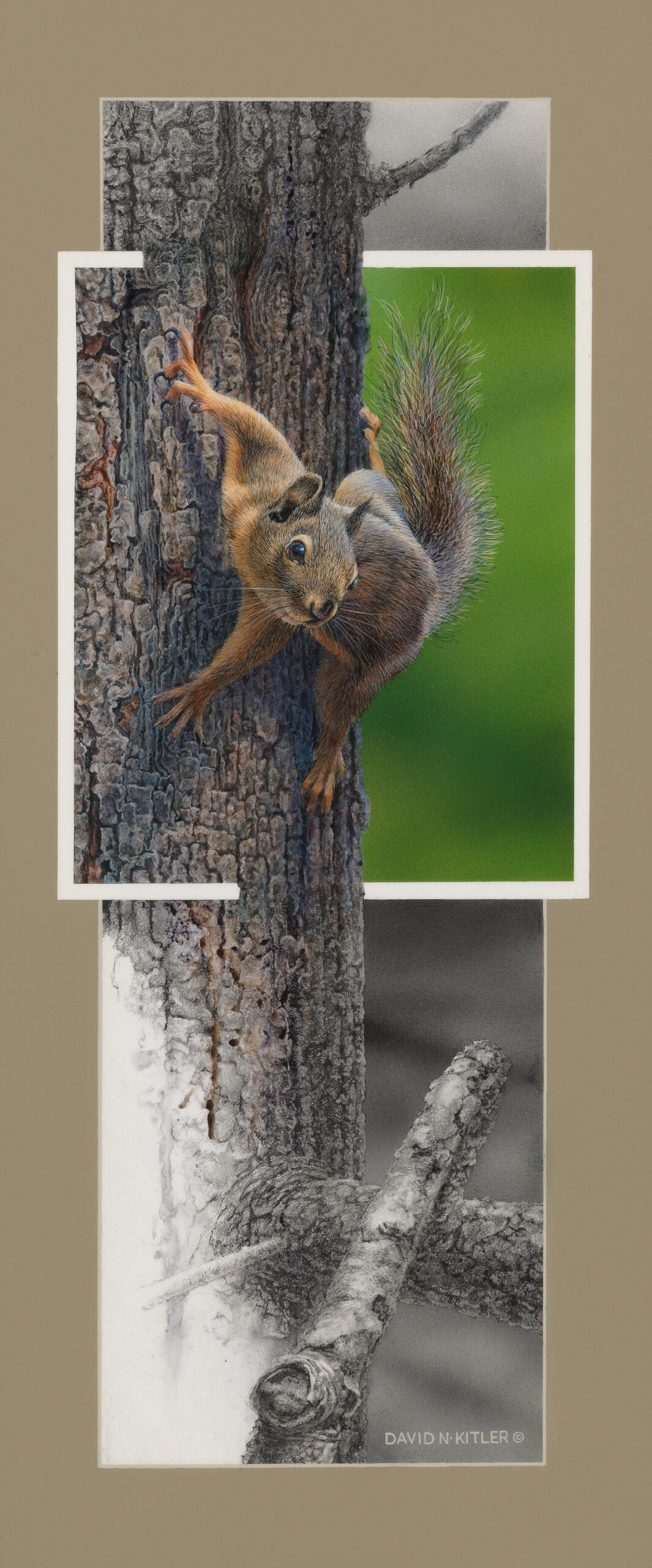 David Kitler, "Backyard Encounters - Squirrel," original graphite and acrylic on baltic birch, 10.5 x 25 in., available through DavidKitler.com