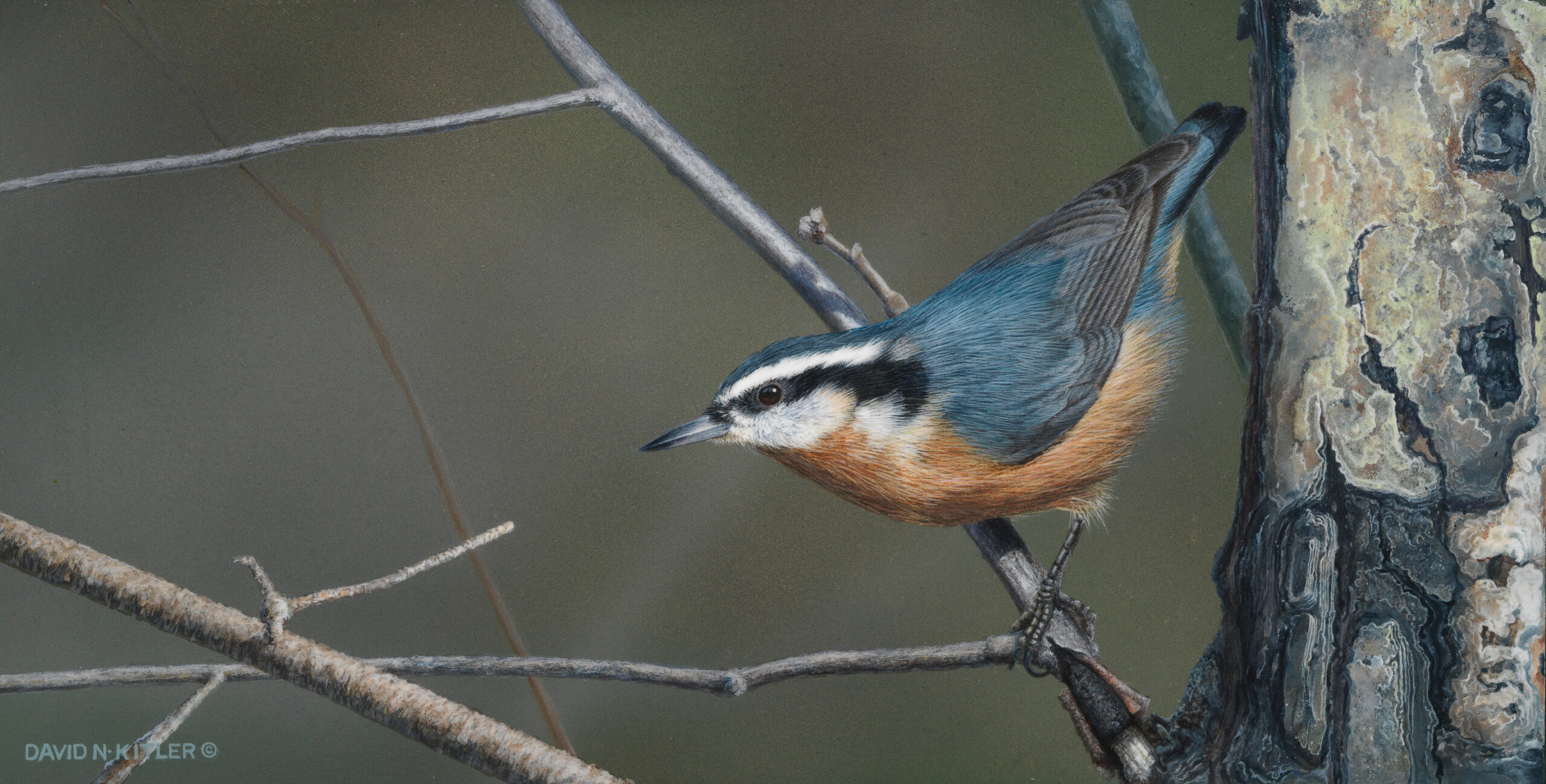 David Kitler, "Nuthatch II," original acrylic on baltic birch, 15 x 7 5/8 in.