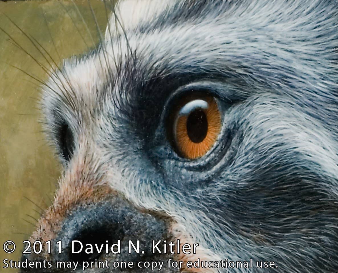 From David Kitler's 90-minute art workshop video, "Painting Nature's Textures in Acrylic"