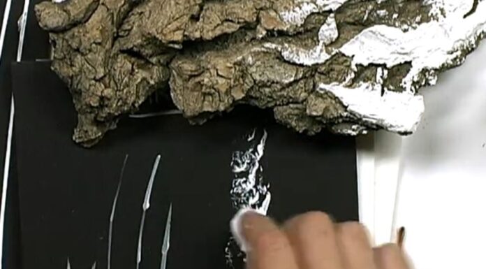 Love to Paint Trees? Try This For Better Bark Painting with acrylic - how to paint tree bark