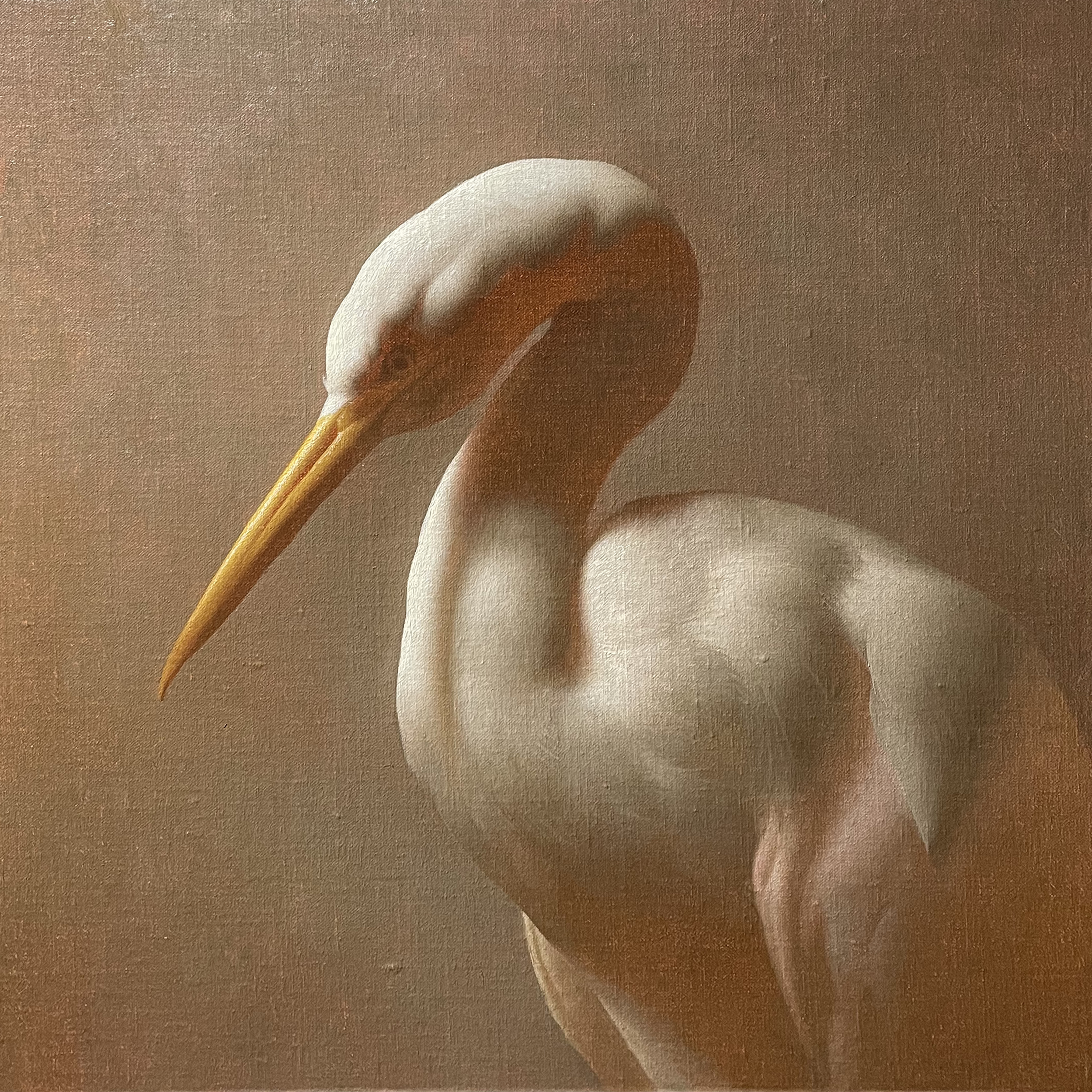 Contemporary realism painting of an egret