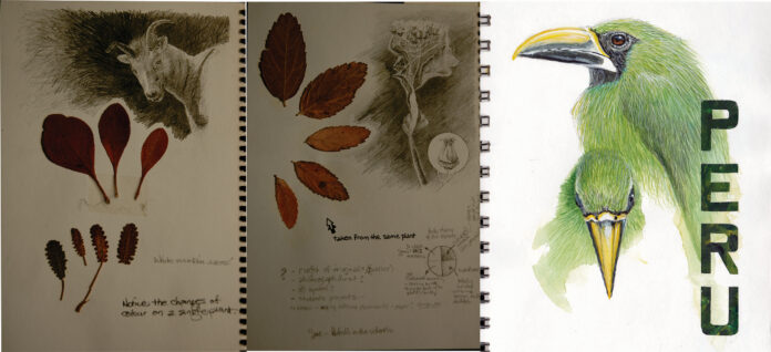 Painting with Acrylics While value studies can stand on their own or be enhanced with natural specimens, the possibilities grow exponentially when every color is added to the options.