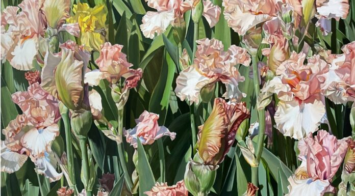 Painting Irises - Cathryne Trachok, “For They Shall Inherit The Earth,” Oil on Linen, 18 x 24 in.