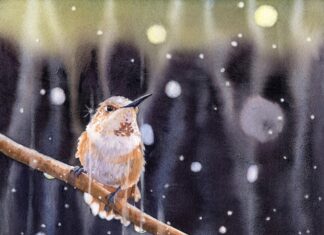 Lorraine Watry, "Rainy Day Rufous," Watercolor painting, 14 x 10 in.