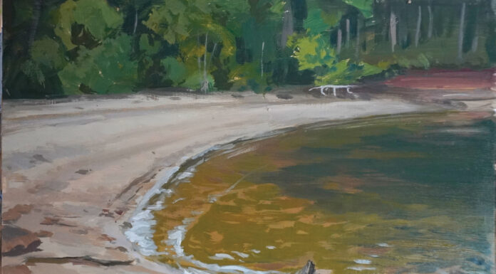 Justin Donaldson, "Secret Beach," 2024, oil, 11 x 14 in., private collection, plein air