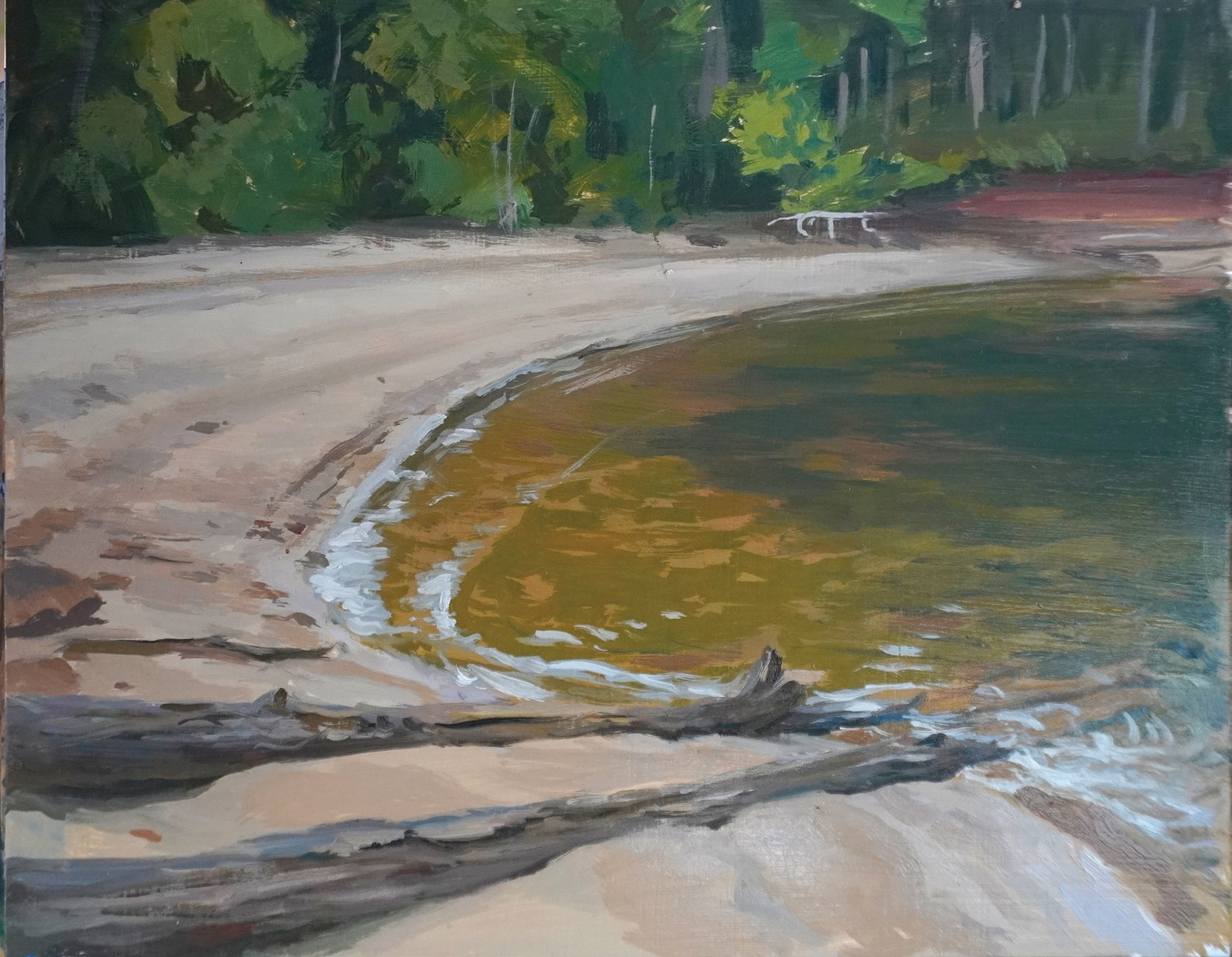 Justin Donaldson, "Secret Beach," 2024, oil, 11 x 14 in., private collection, plein air oil painting